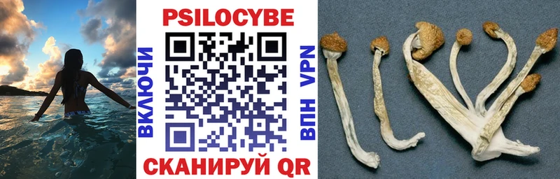 Галлюциногенные грибы мицелий  Голицыно 